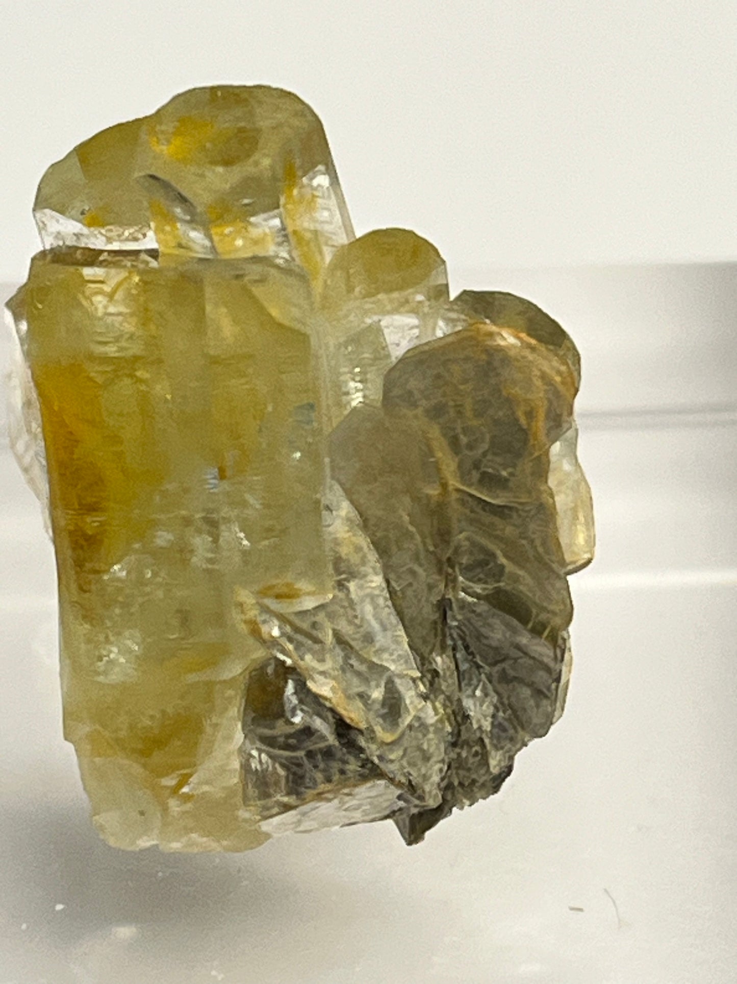 Aquamarin Kristall auf Feldspat aus Pakistan (12g) - crystal paradise