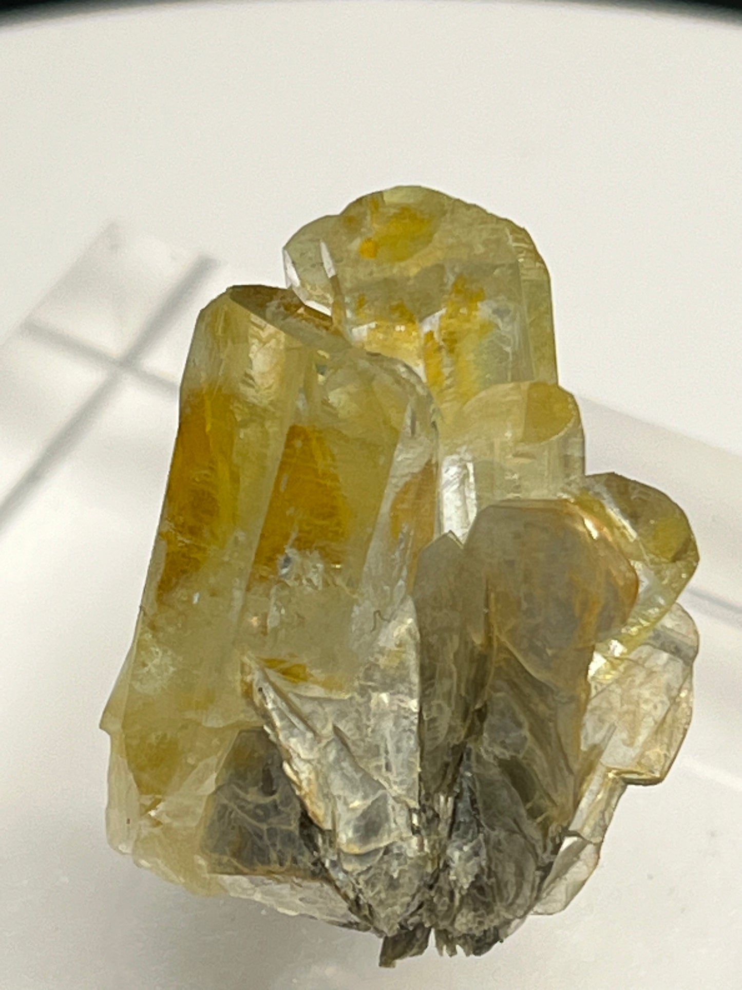 Aquamarin Kristall auf Feldspat aus Pakistan (12g) - crystal paradise