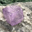 Violetter Fluorit aus Mexiko mit Quarz Anlagerungen (671g) - Grossstufe mit großen Fluoritwürfeln und Phantom - crystal paradise