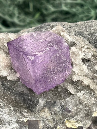 Violetter Fluorit aus Mexiko mit Quarz Anlagerungen (671g) - Grossstufe mit großen Fluoritwürfeln und Phantom - crystal paradise