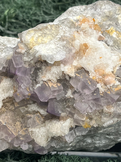 Violetter Fluorit aus Mexiko mit weissen Quarz Anlagerungen (1250g) - Grossstufe mit vielen Fluoritwürfeln - crystal paradise