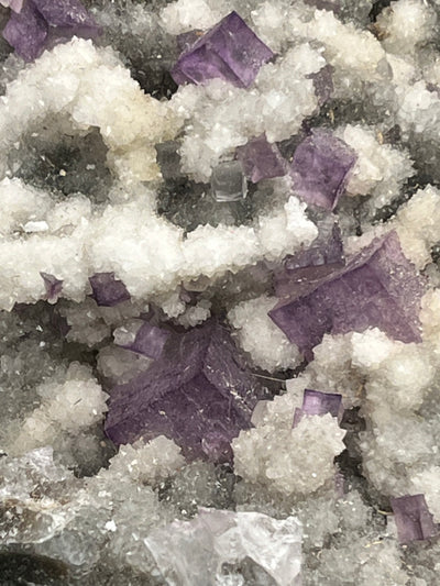 Violetter Fluorit aus Mexiko mit weissen Quarz Anlagerungen (593g) - Grossstufe mit vielen Fluoritwürfeln und Quarzblumen - crystal paradise