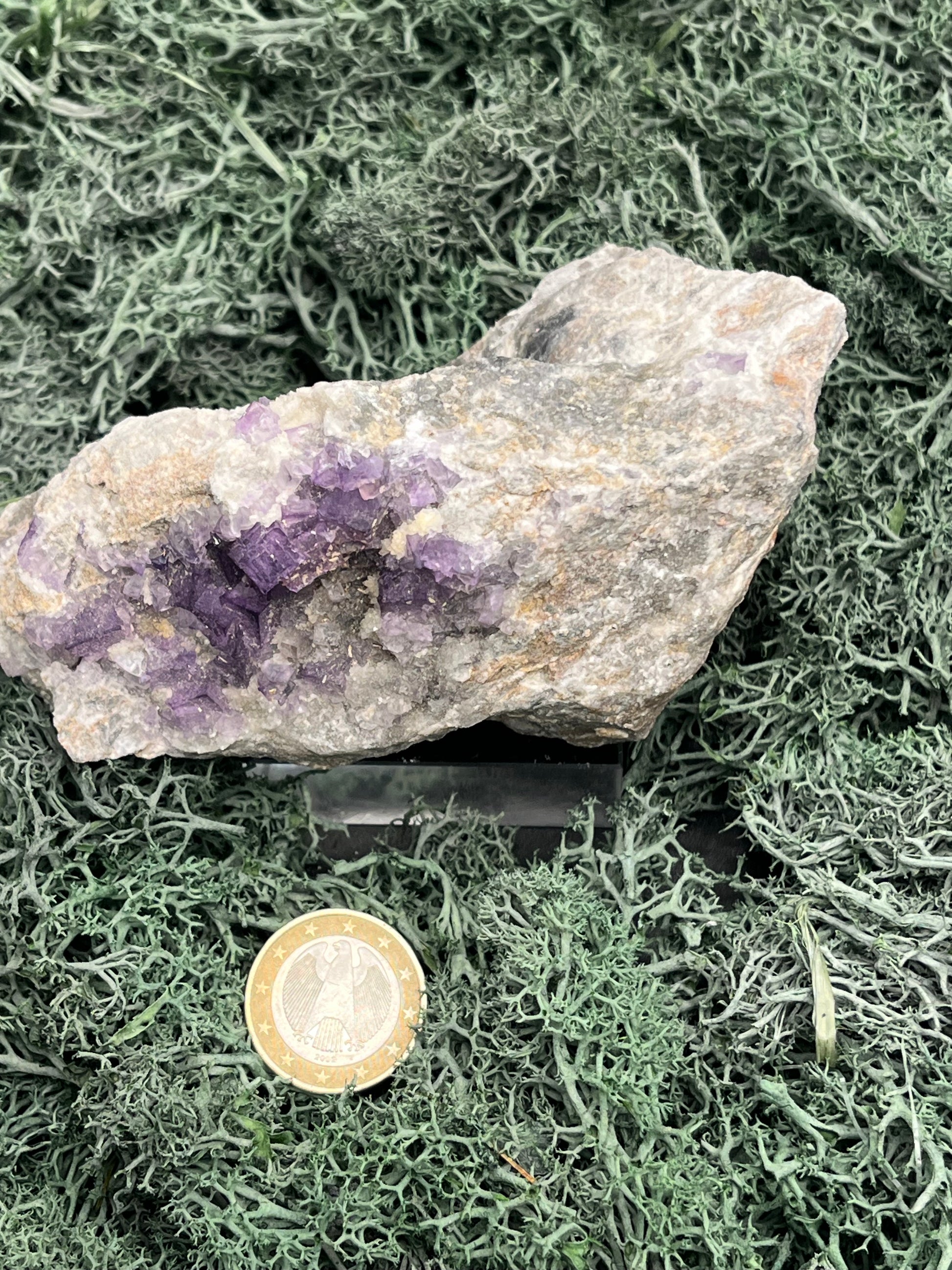 Violetter Fluorit aus Mexiko mit weissen und gelben Quarz Anlagerungen (469g) - Handstufe mit vielen Fluoritwürfeln - crystal paradise