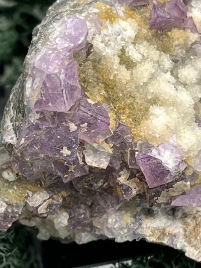 Violetter Fluorit aus Mexiko mit weissen und gelben Quarz Anlagerungen (351g) - Handstufe mit sehr schönen weissen Quarz Anlagerungen - crystal paradise