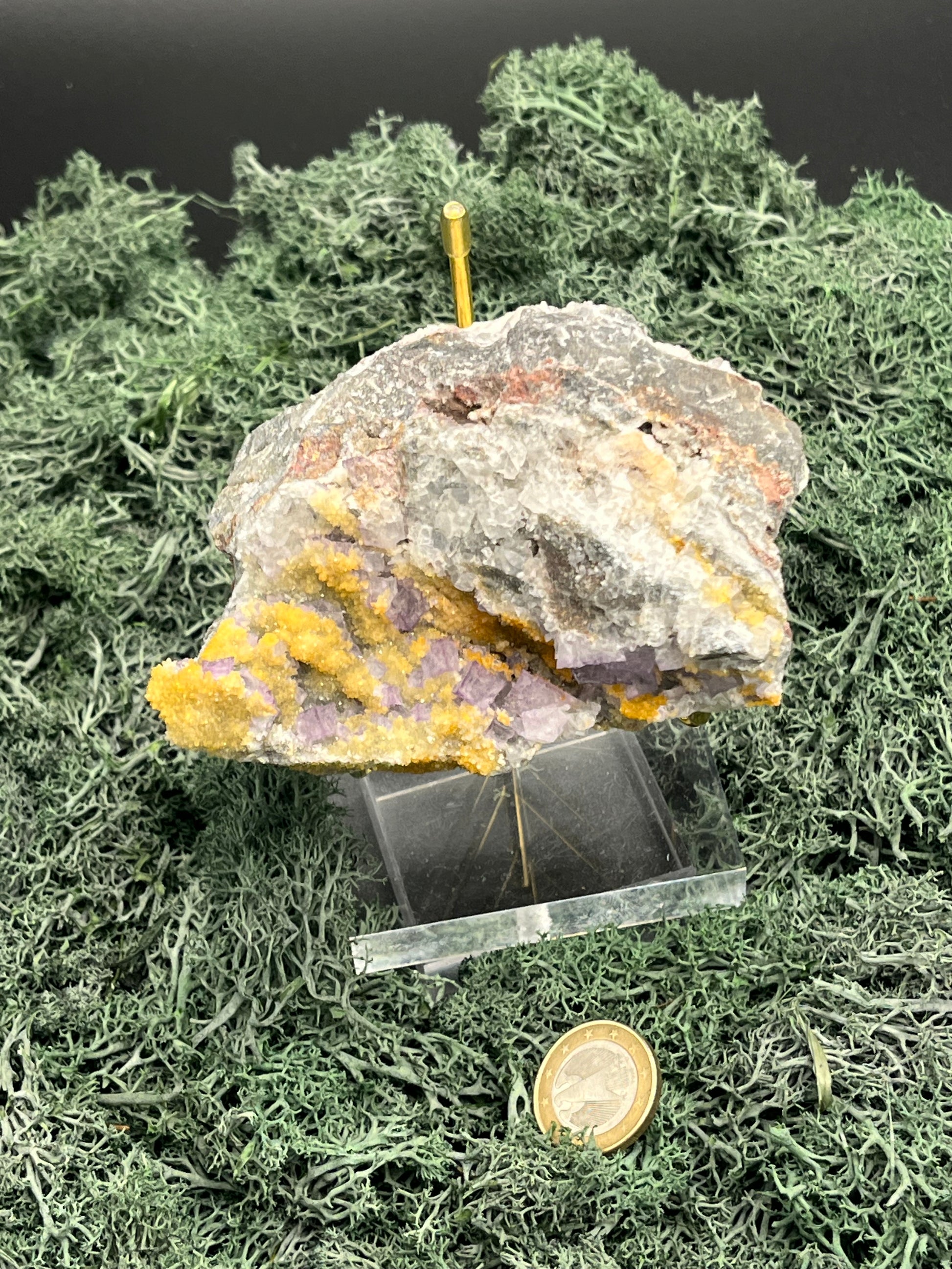 Violetter Fluorit aus Mexiko mit weissen und gelben Quarz Anlagerungen (468g) - Grossstufe mit vielen Fluoritwürfeln und viel gelbem Quarz - crystal paradise