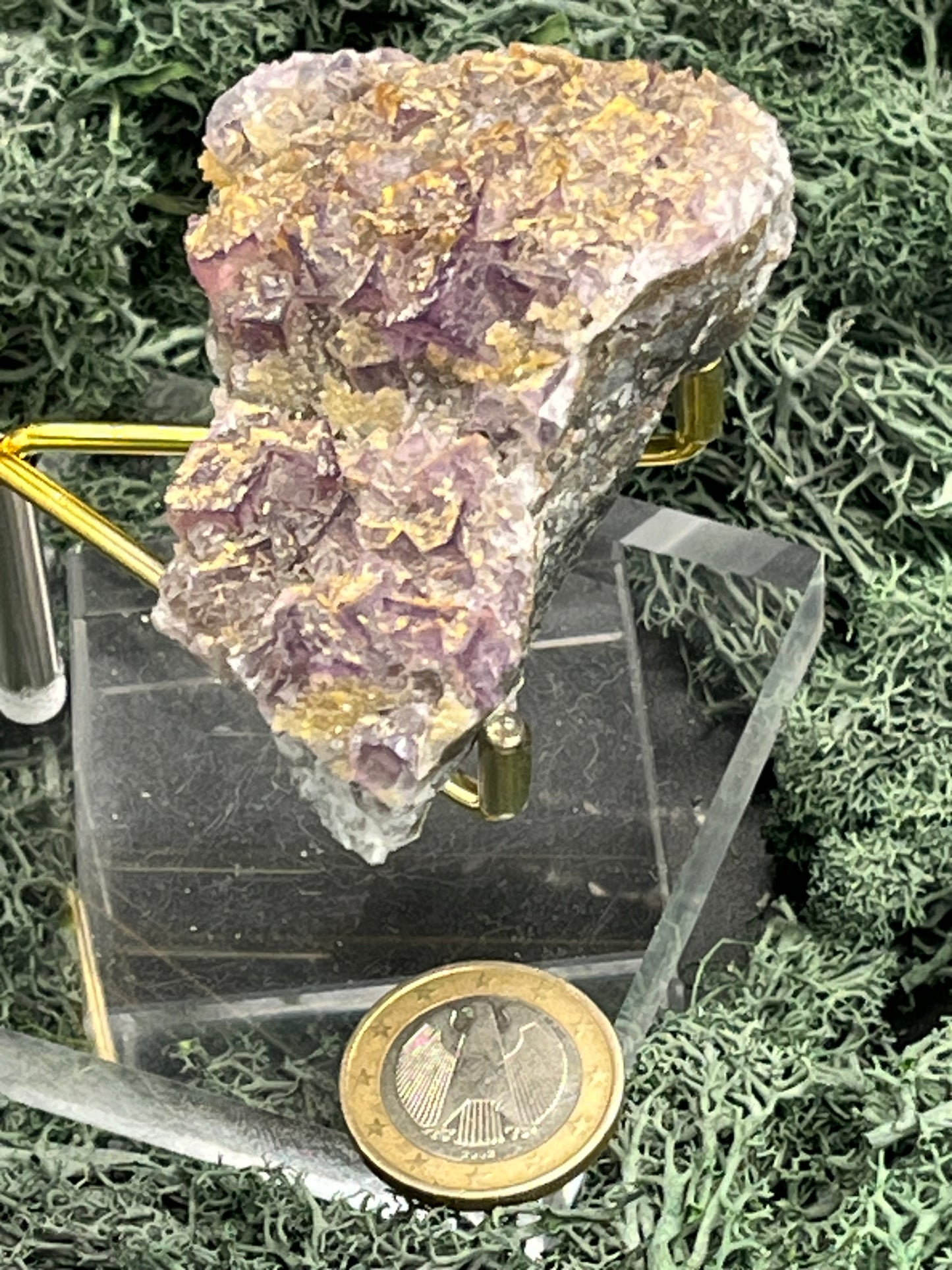 Violetter Fluorit aus Mexiko mit gelben Quarz Anlagerungen (125g) - Handstufe mit vielen Fluoritwürfeln - crystal paradise