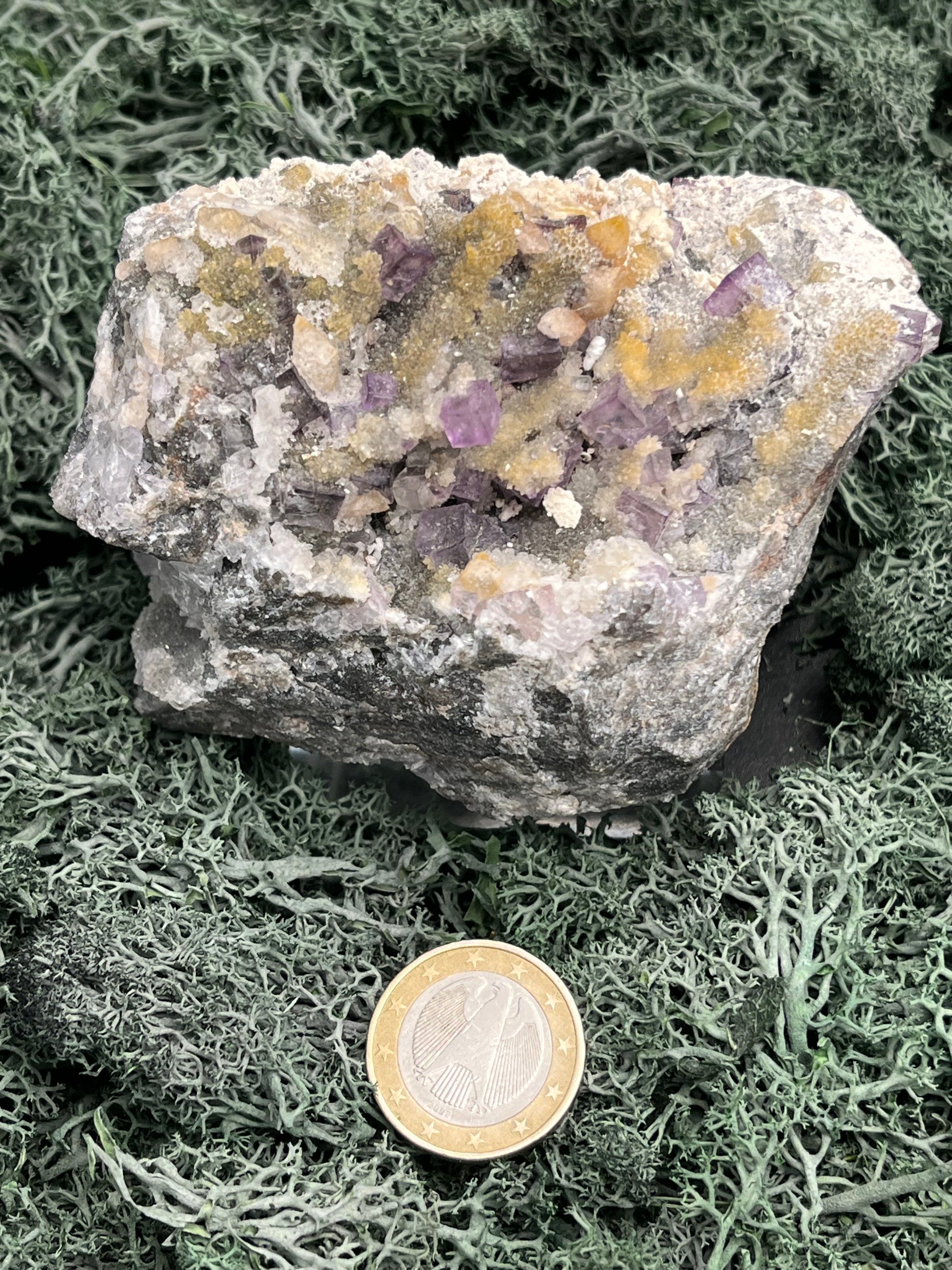 Violetter Fluorit aus Mexiko mit weissen und gelben Quarz Anlagerungen (518g) - Handstufe mit vielen Fluoritwürfeln - crystal paradise