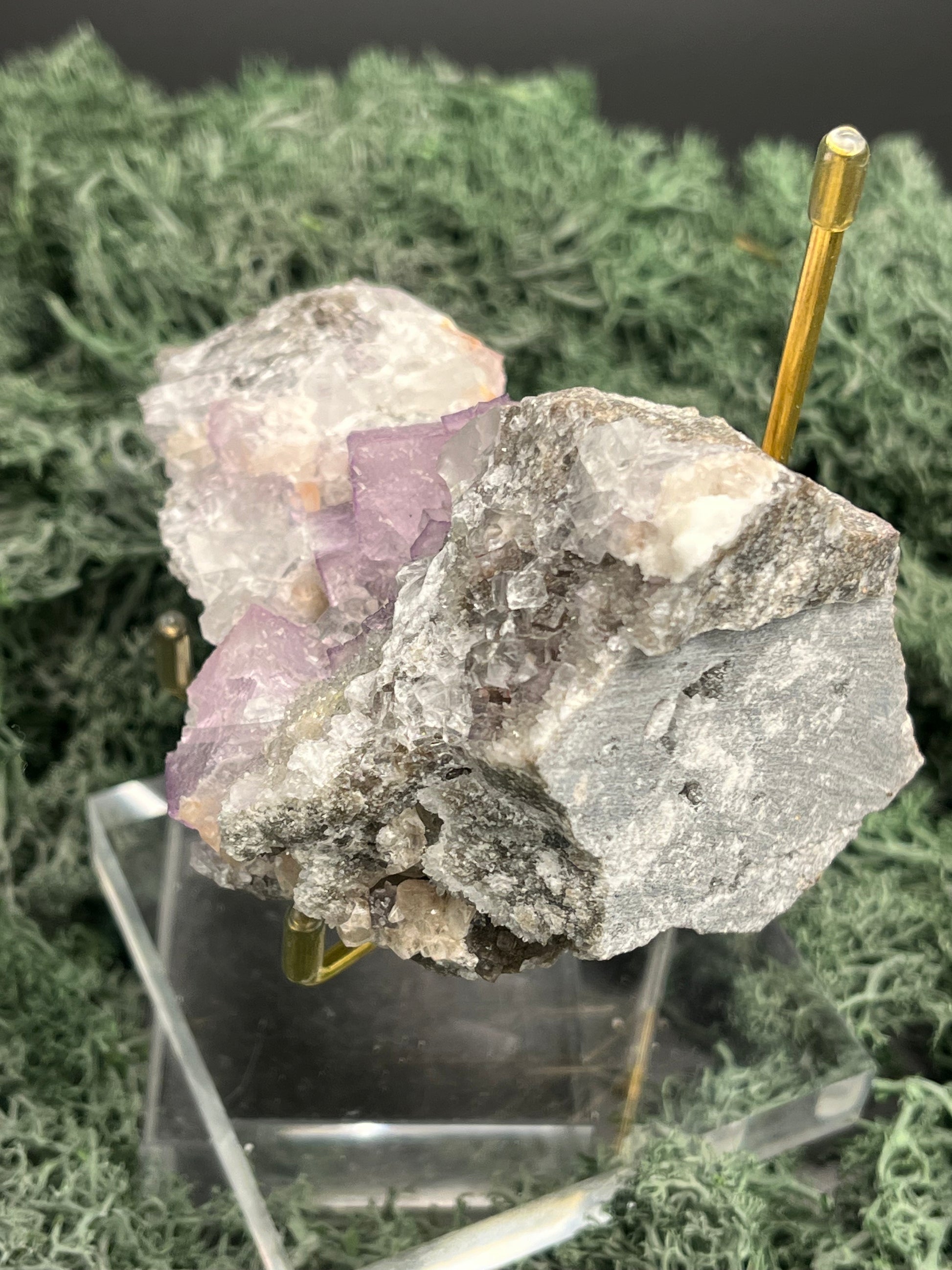 Violetter Fluorit aus Mexiko mit weissen und gelben Quarz Anlagerungen (327g) - Handstufe mit großen Fluoritwürfeln - crystal paradise