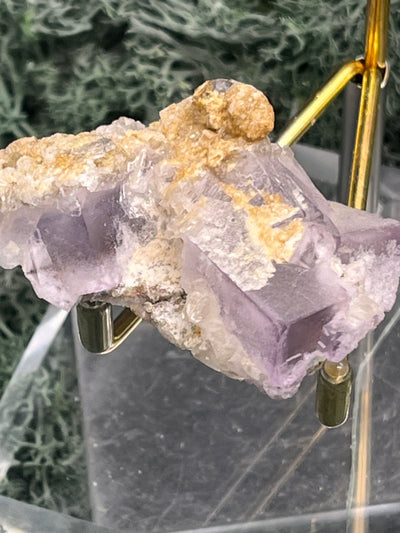 Violetter Fluorit aus Mexiko mit weissen und gelben Quarz Anlagerungen (35g) - Stufe mit schönen Fluoritwürfeln - crystal paradise