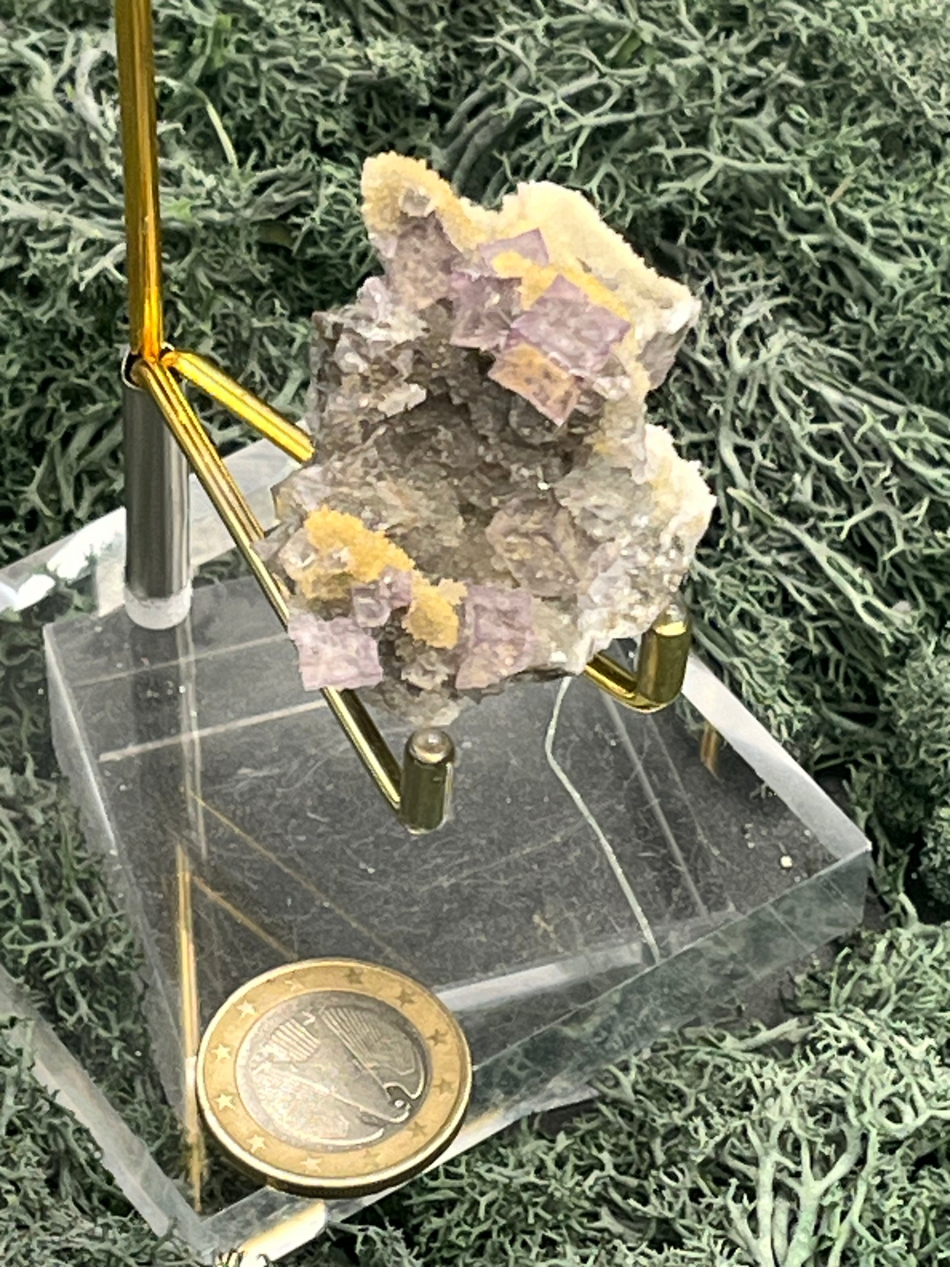 Violetter Fluorit aus Mexiko mit weissen und gelben Quarz Anlagerungen (47g) - Stufe mit schönen Fluoritwürfeln - crystal paradise