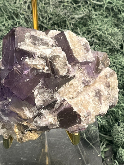 Violetter Fluorit aus Mexiko mit weissen Quarz Anlagerungen (252g) - Handstufe mit sehr grossen und dunklen Fluoritwürfeln - crystal paradise