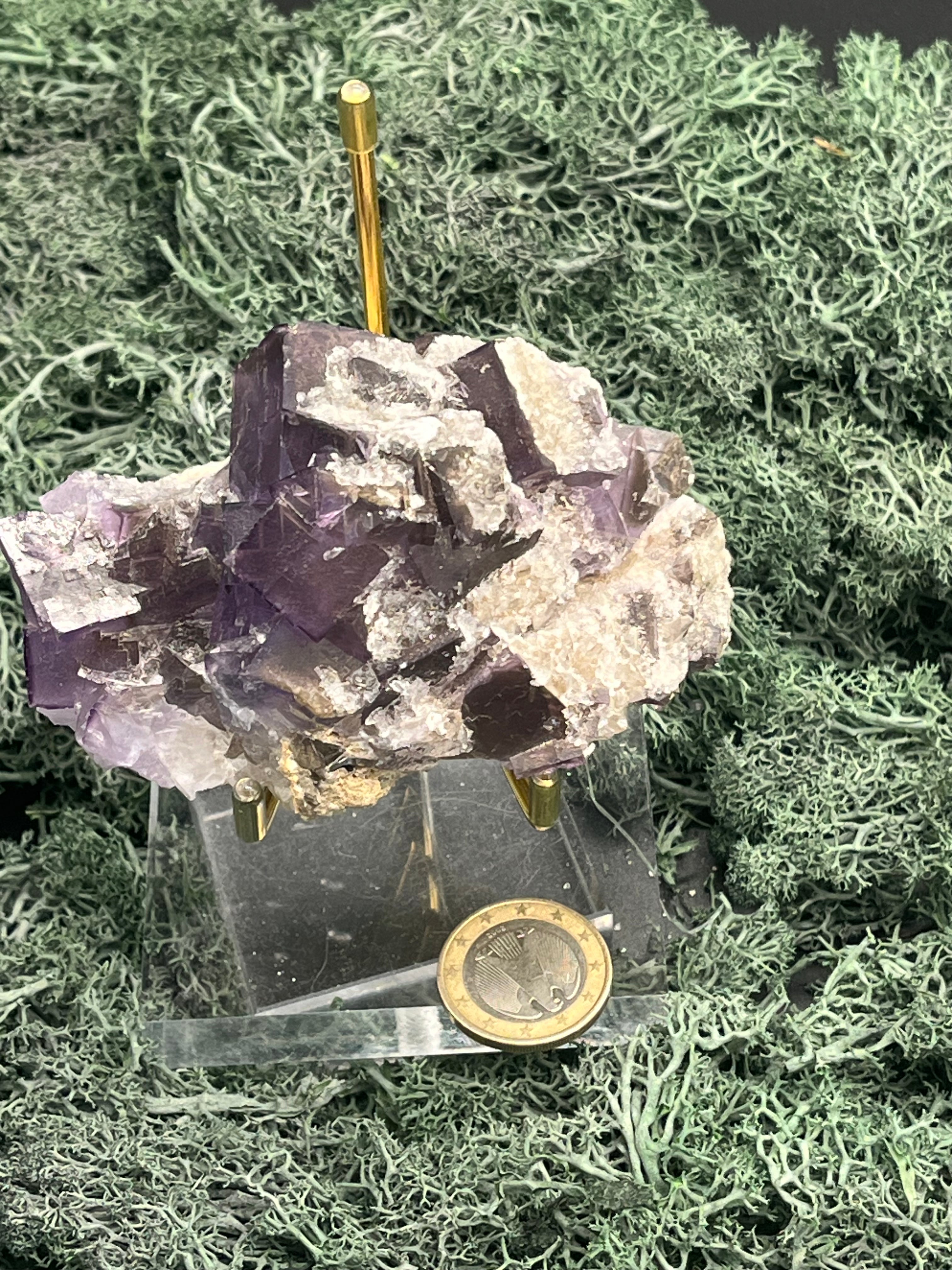 Violetter Fluorit aus Mexiko mit weissen Quarz Anlagerungen (252g) - Handstufe mit sehr grossen und dunklen Fluoritwürfeln - crystal paradise