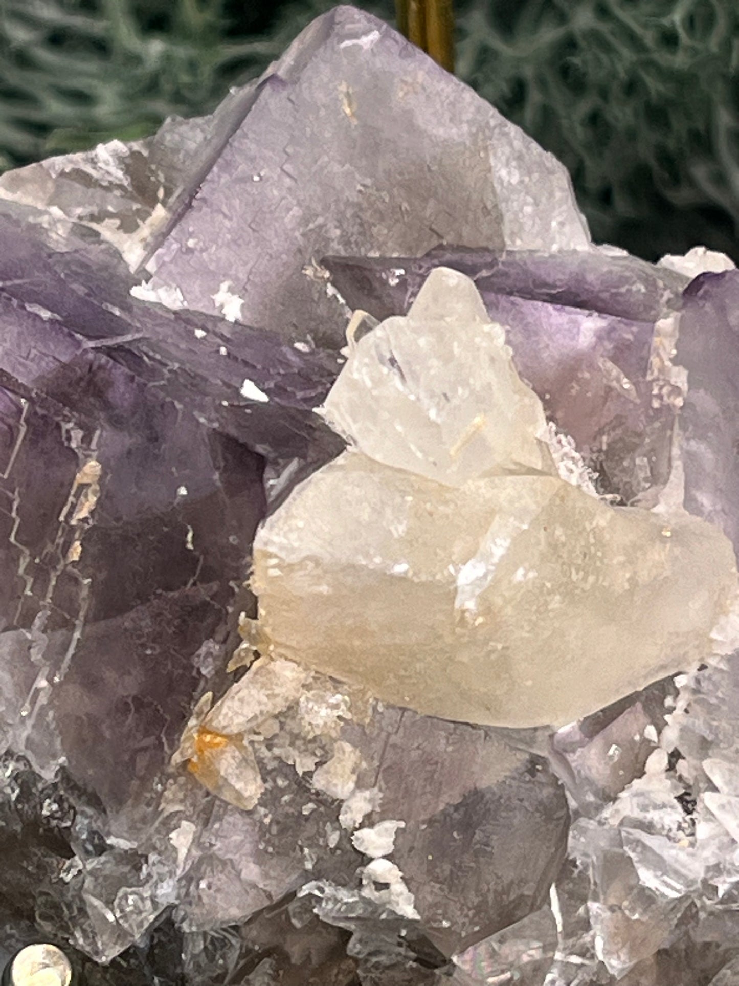 Violetter Fluorit aus Mexiko mit weissen Quarz Anlagerungen (114g) - Handstufe mit grossen Fluoritwürfeln und großer Quarzanlagerung - crystal paradise