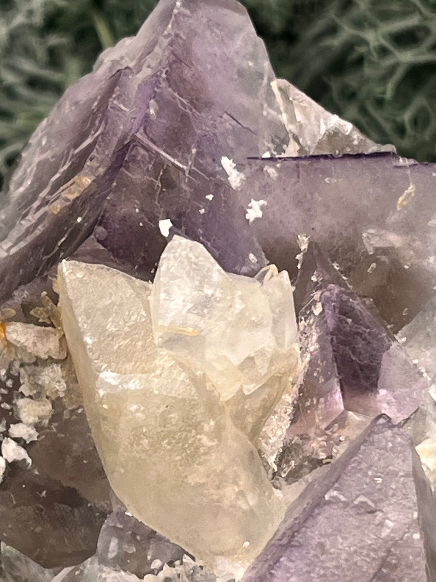 Violetter Fluorit aus Mexiko mit weissen Quarz Anlagerungen (114g) - Handstufe mit grossen Fluoritwürfeln und großer Quarzanlagerung - crystal paradise