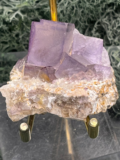 Violetter Fluorit aus Mexiko (40g) - Stufe mit grossen Fluoritwürfeln mit Phantom - crystal paradise