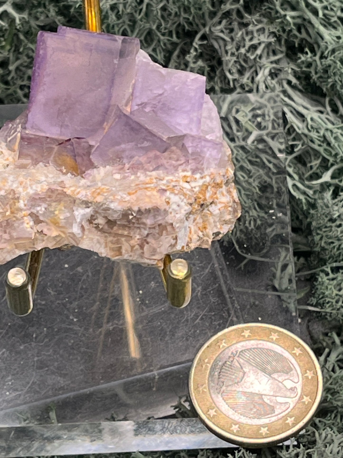 Violetter Fluorit aus Mexiko (40g) - Stufe mit grossen Fluoritwürfeln mit Phantom - crystal paradise