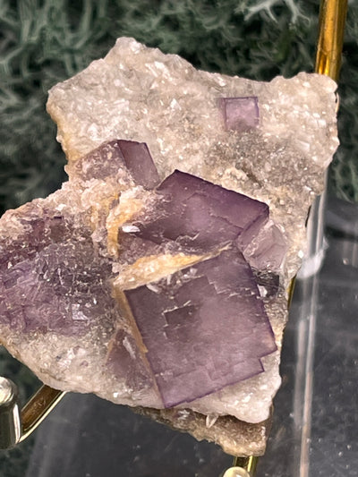 Violetter Fluorit aus Mexiko mit weissen Quarzanlagerungen (24g) - Stufe mit grossen Fluoritwürfeln - crystal paradise