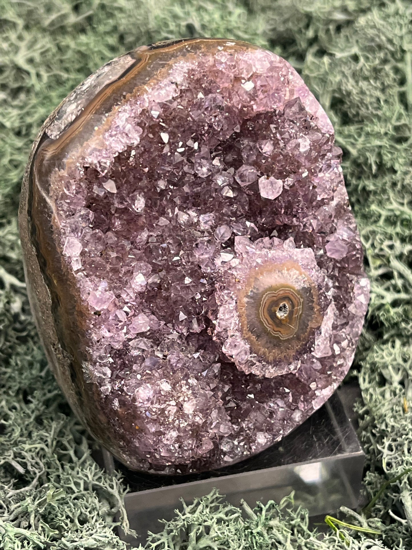 Achatisierter Amethyst Druse aus Uruguay (466g) - schönes lila mit mittiger Achatisisierung - crystal paradise