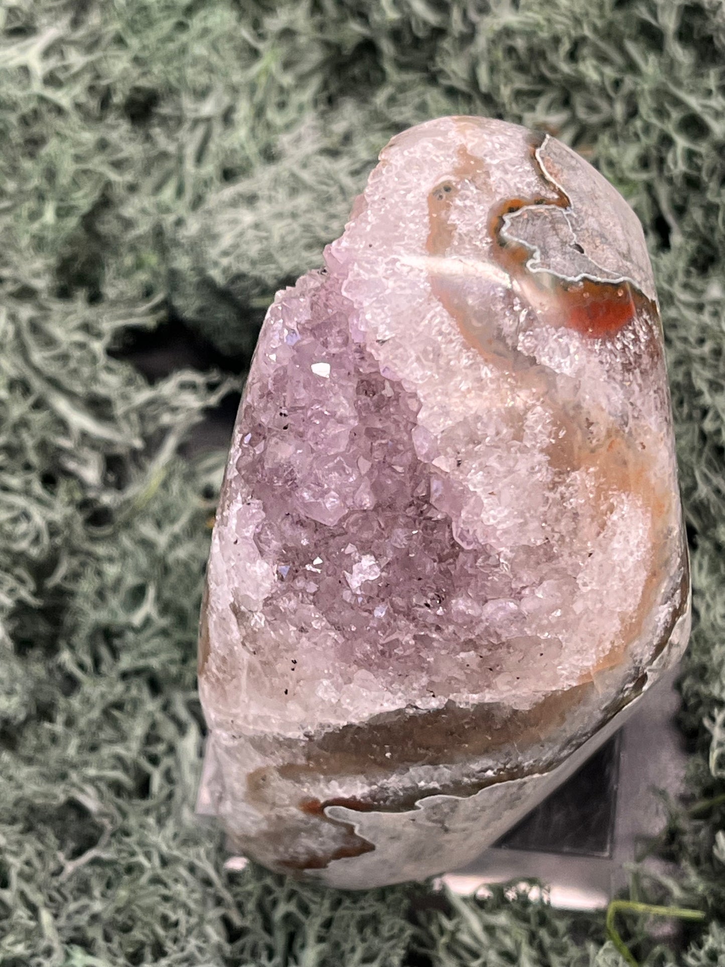 Achatisierter Amethyst Druse aus Uruguay (435g) - zweifarbige Amethysten - crystal paradise