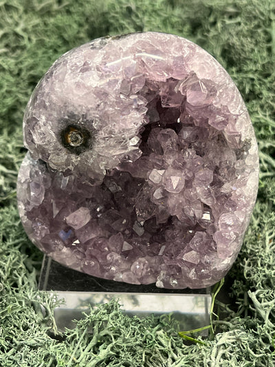 Achatisierter Amethyst Druse aus Uruguay (308g) - schöne Druzybildung bei großen Kristallen - crystal paradise