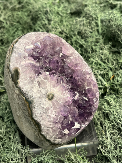 Achatisierte Amethyst Druse aus Uruguay (329g) - schöne dunkle Kristalle und Achatisierung - crystal paradise