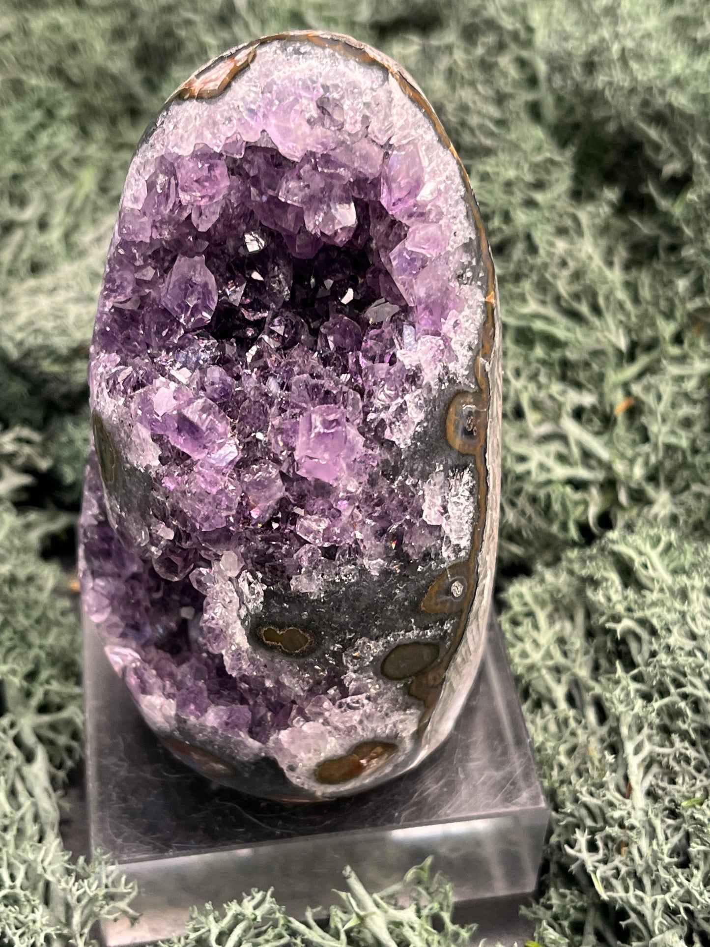 Achatisierte Amethyst Druse aus Uruguay (247g) - schöne dunkle Kristalle und Druzys - crystal paradise