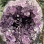 Achatisierte Amethyst Druse aus Uruguay (247g) - schöne dunkle Kristalle und Druzys - crystal paradise