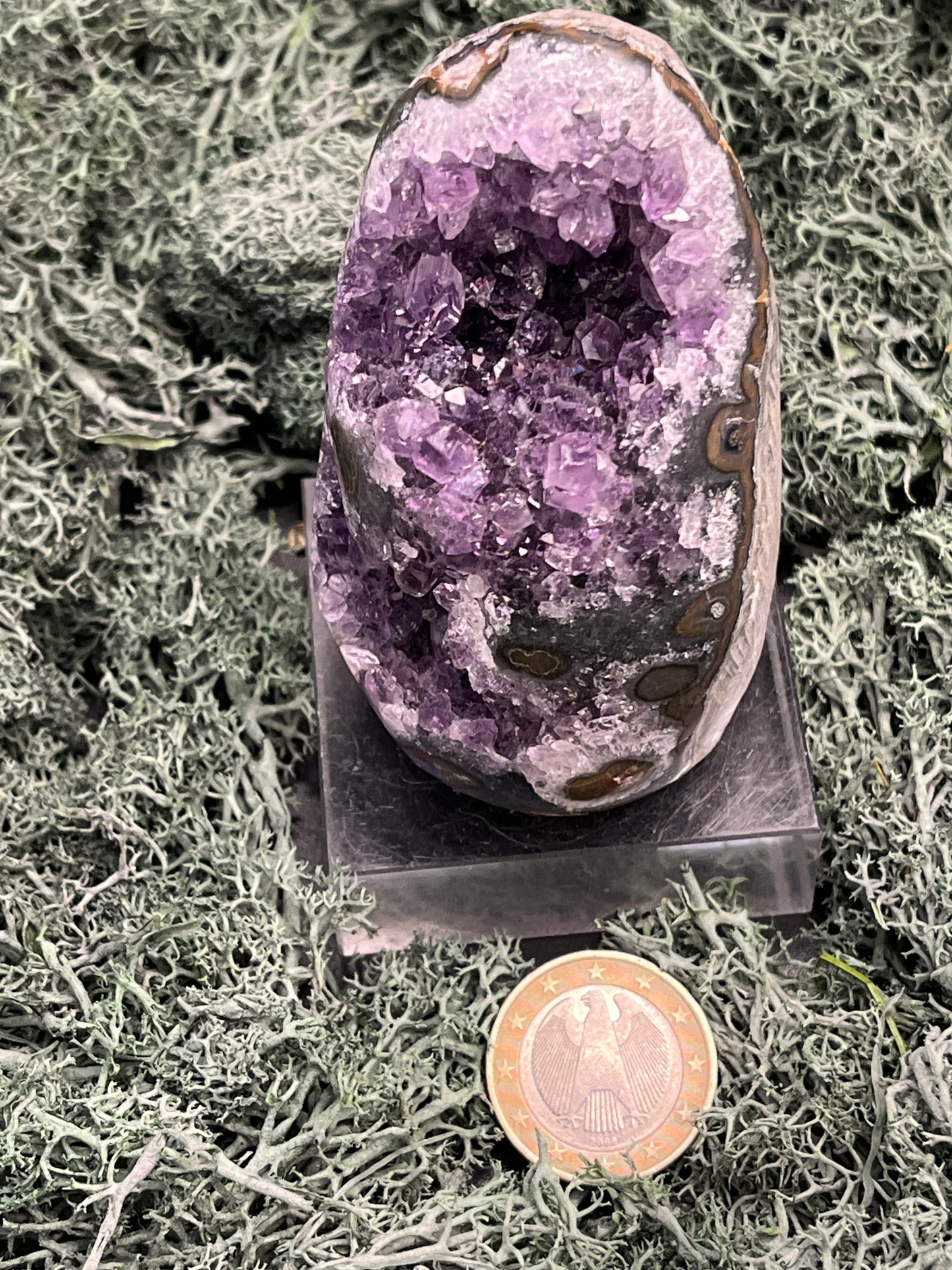 Achatisierte Amethyst Druse aus Uruguay (247g) - schöne dunkle Kristalle und Druzys - crystal paradise