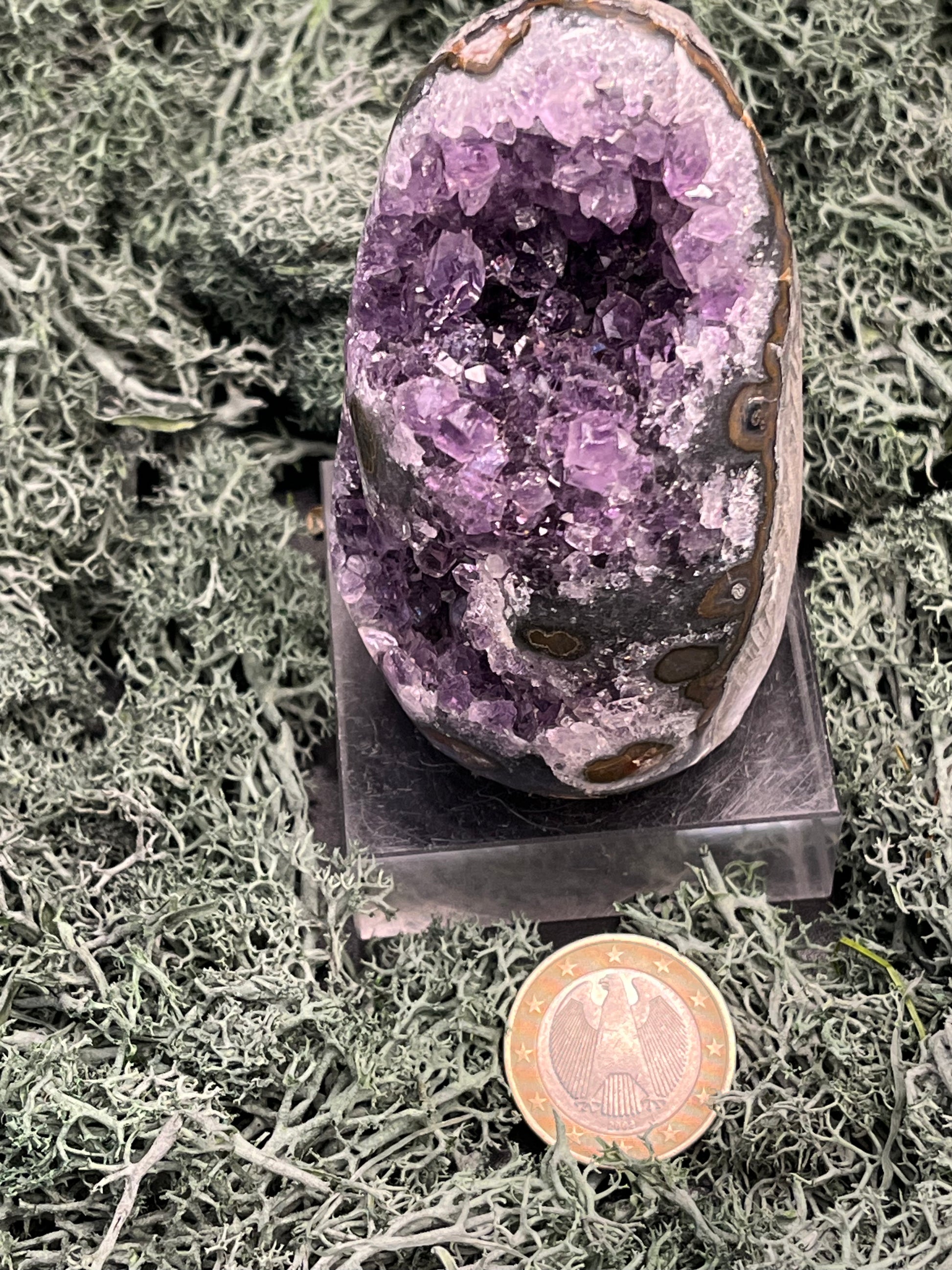 Achatisierte Amethyst Druse aus Uruguay (247g) - schöne dunkle Kristalle und Druzys - crystal paradise