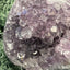 Achatisierte Amethyst Druse aus Uruguay (450g) - schöne Achatisierung und Druzy - crystal paradise