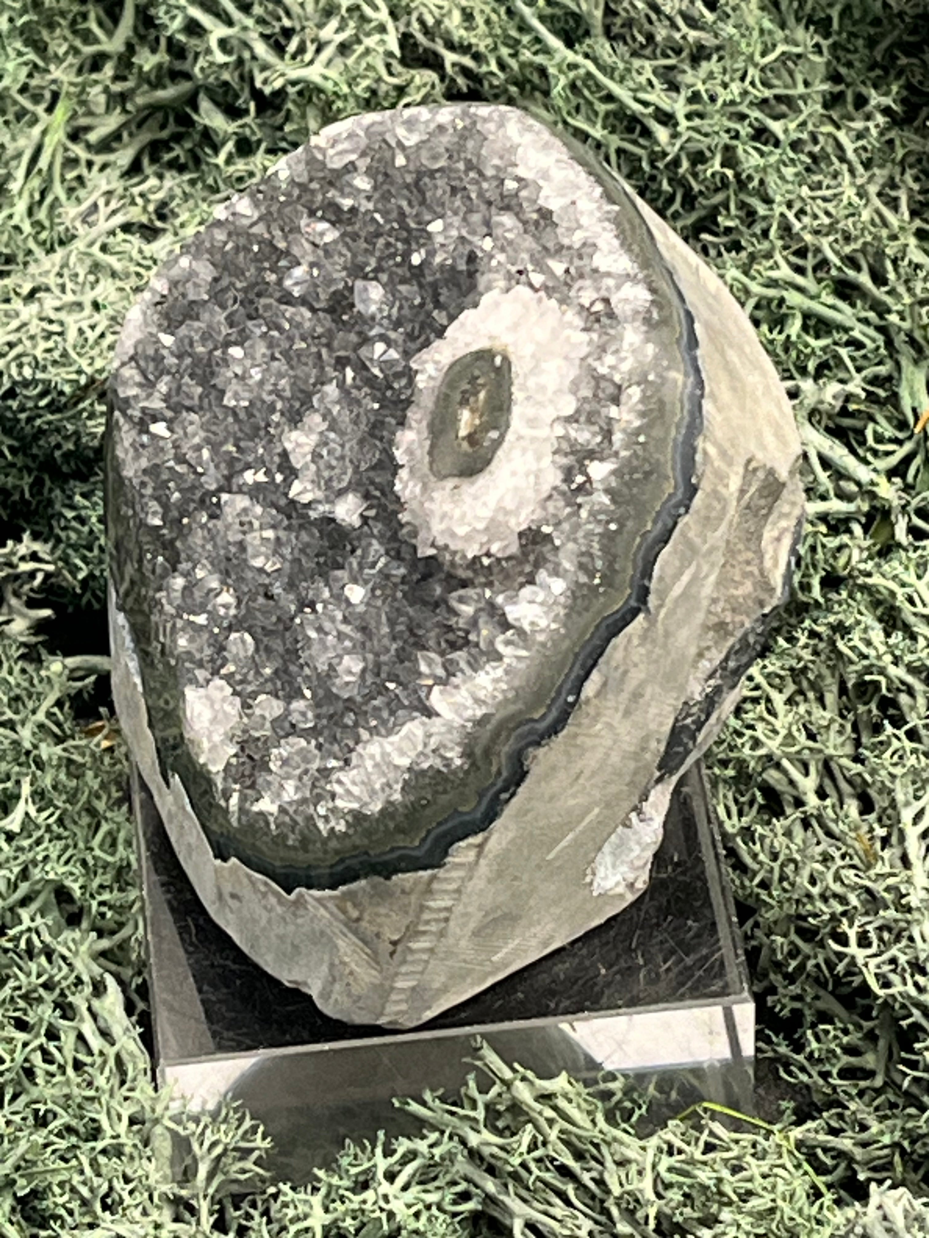 Achatisierte Amethyst Druse aus Uruguay (310g) - schöne helle Kristalle und tolle Achatisierung - crystal paradise