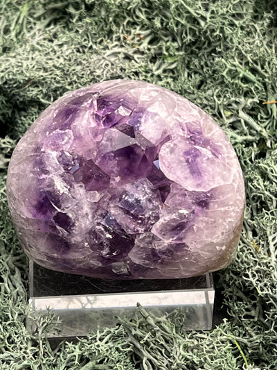 Achatisierte Amethyst Druse aus Uruguay (249g) - schöne dunkle Kristalle - crystal paradise