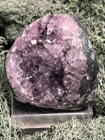 Achatisierte Amethyst Druse aus Uruguay (173g) - schöne dunkle Kristalle und Druzy - crystal paradise