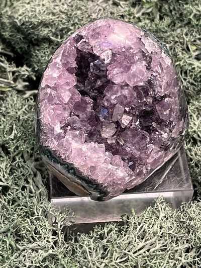 Achatisierte Amethyst Druse aus Uruguay (173g) - schöne dunkle Kristalle und Druzy - crystal paradise