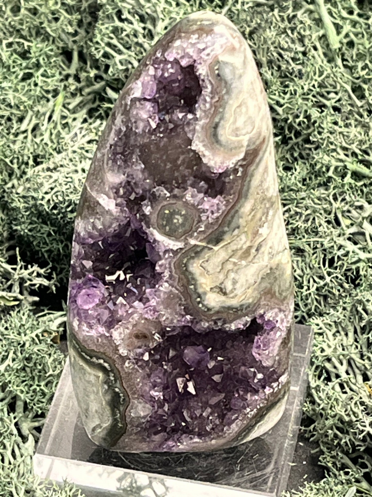 Achatisierte Amethyst Druse aus Uruguay (221g) - schöne Form mit tollen Druzys! - crystal paradise