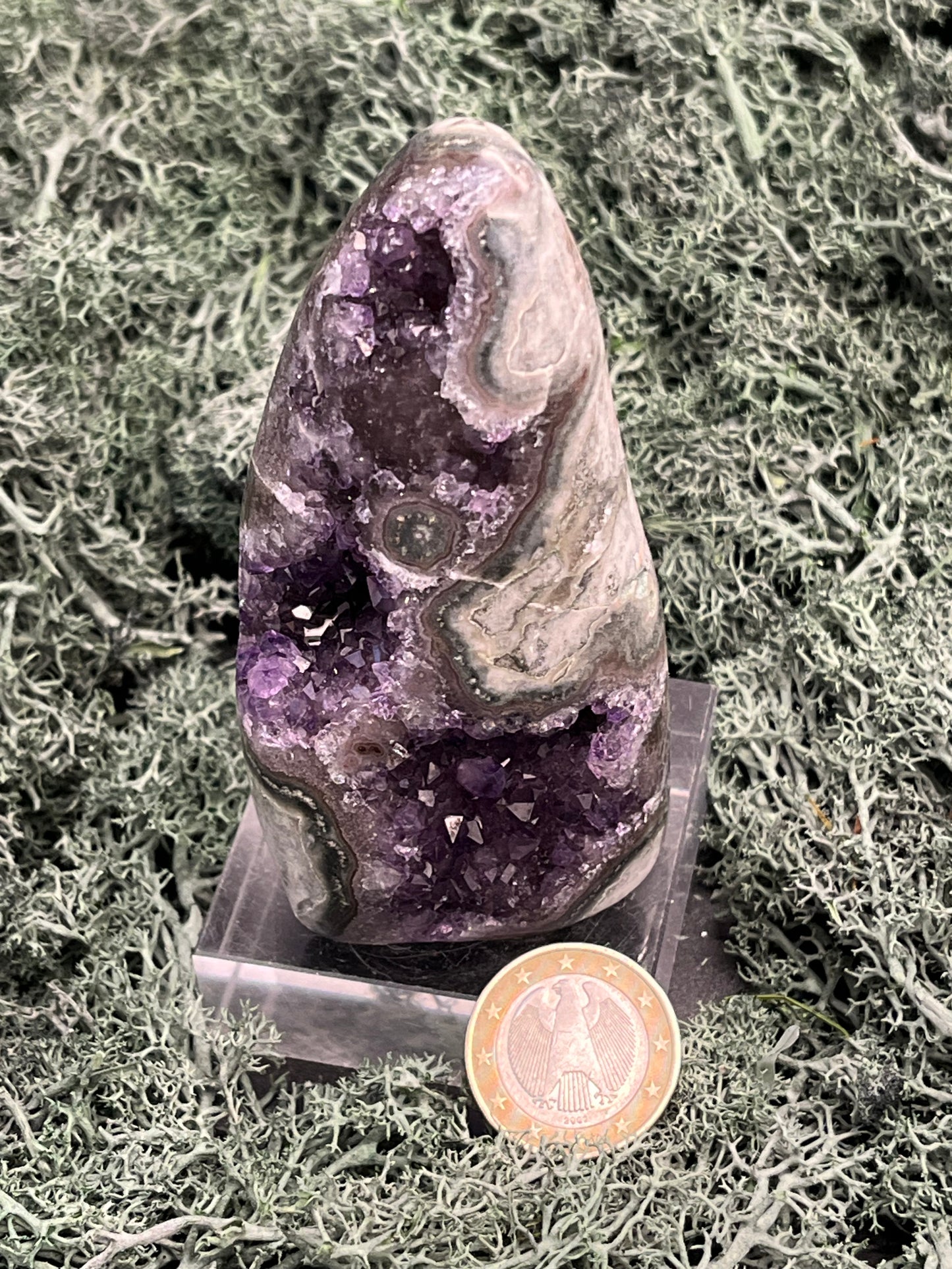 Achatisierte Amethyst Druse aus Uruguay (221g) - schöne Form mit tollen Druzys! - crystal paradise