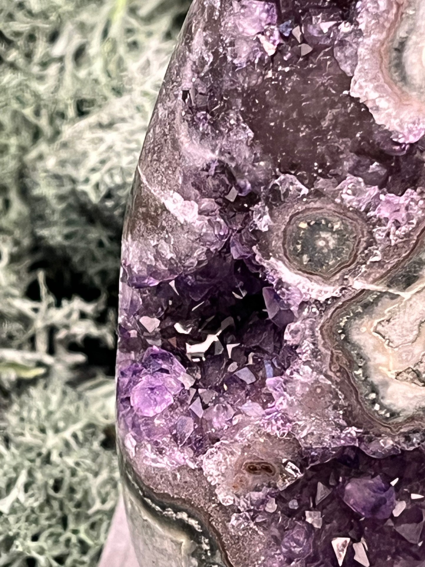 Achatisierte Amethyst Druse aus Uruguay (221g) - schöne Form mit tollen Druzys! - crystal paradise