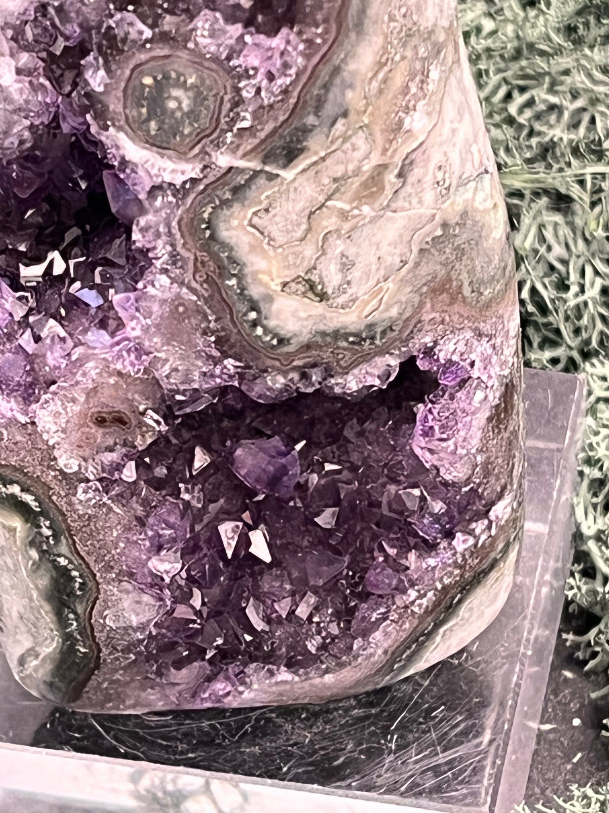 Achatisierte Amethyst Druse aus Uruguay (221g) - schöne Form mit tollen Druzys! - crystal paradise