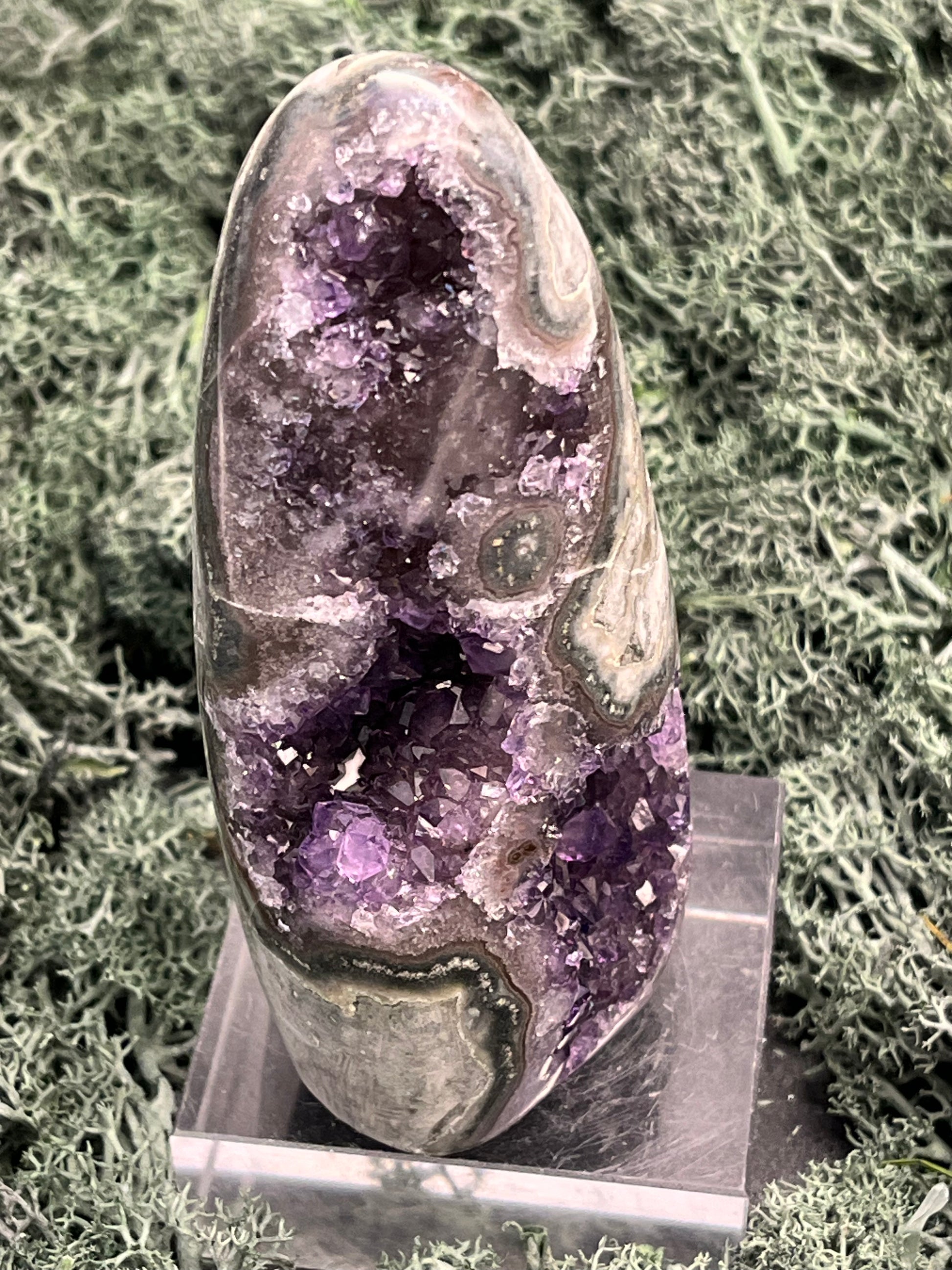 Achatisierte Amethyst Druse aus Uruguay (221g) - schöne Form mit tollen Druzys! - crystal paradise