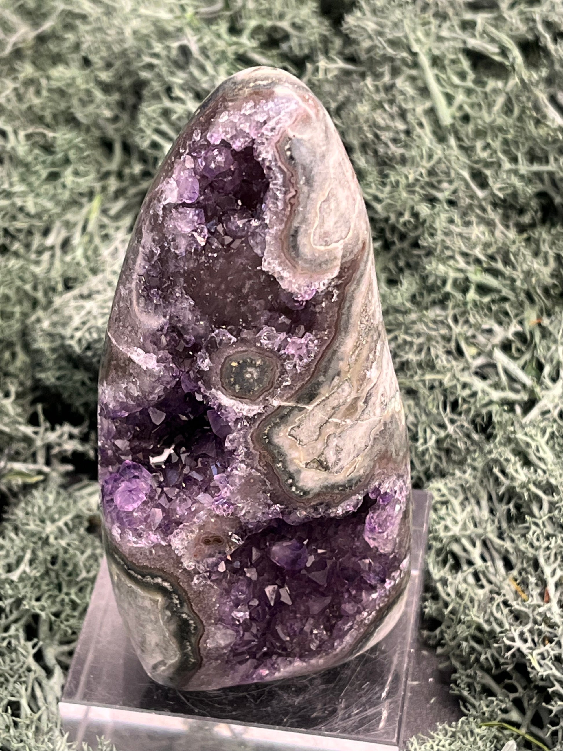 Achatisierte Amethyst Druse aus Uruguay (221g) - schöne Form mit tollen Druzys! - crystal paradise