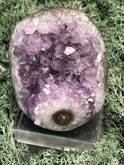 Achatisierte Amethyst Druse aus Uruguay (215g) - schöne Achatblume - crystal paradise