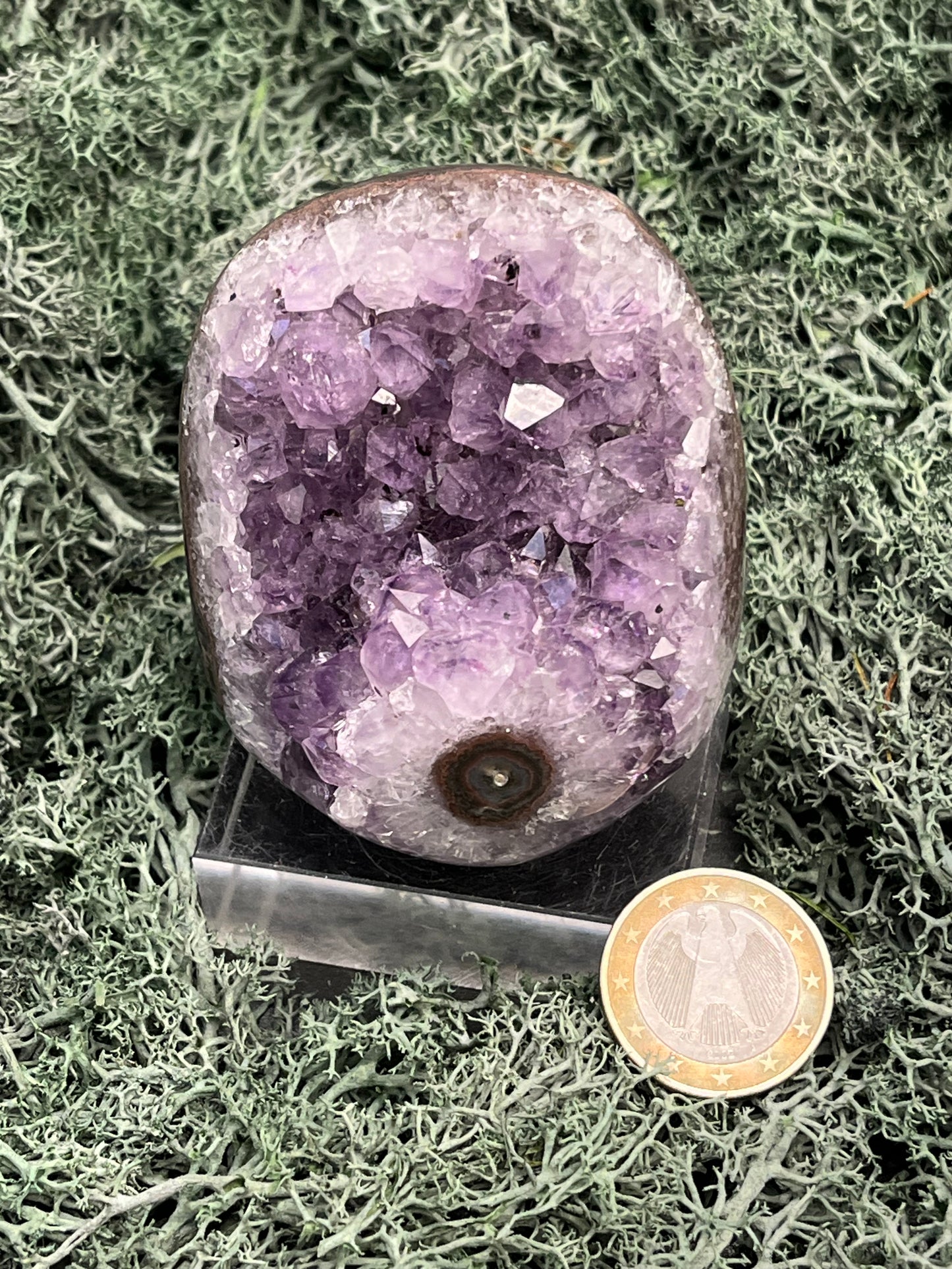 Achatisierte Amethyst Druse aus Uruguay (215g) - schöne Achatblume