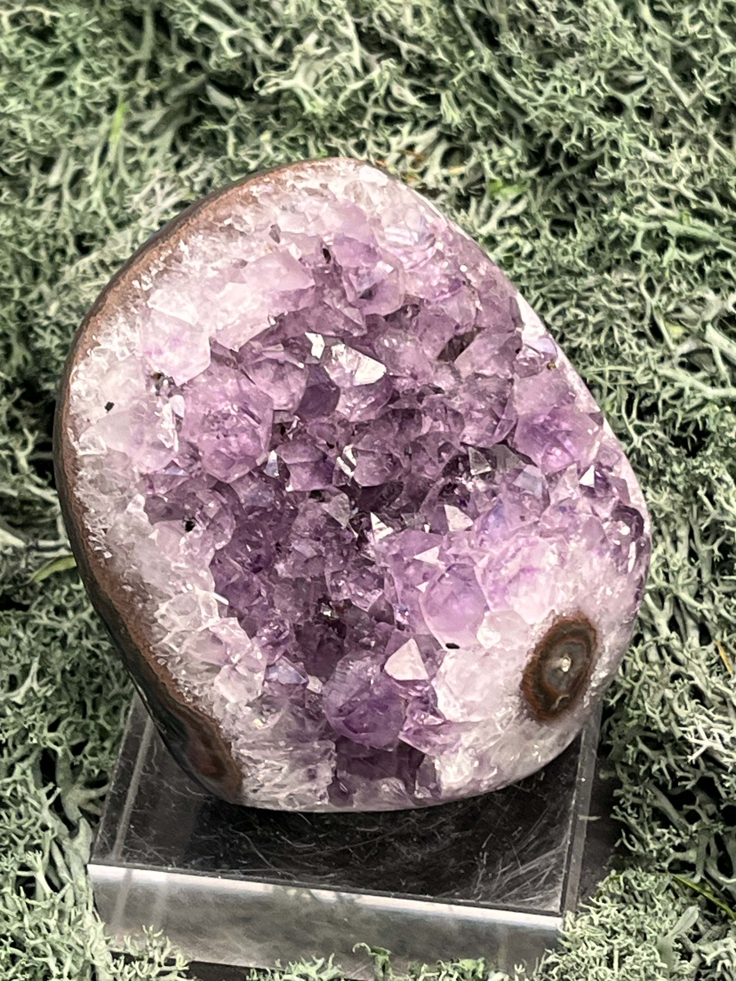 Achatisierte Amethyst Druse aus Uruguay (215g) - schöne Achatblume - crystal paradise