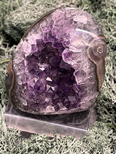 Achatisierte Amethyst Druse aus Uruguay (153g) - schöne dunkle Kristalle und Achatisierung - crystal paradise