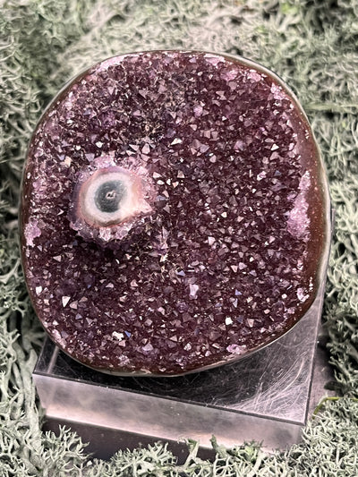 Achatisierte Amethyst Druse aus Uruguay (155g) - schöne dunkle Kristalle und Achatisierung - crystal paradise