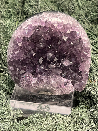 Achatisierte Amethyst Druse aus Uruguay (168g) - schöne dunkle Kristalle - crystal paradise