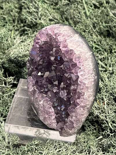 Achatisierte Amethyst Druse aus Uruguay (168g) - schöne dunkle Kristalle - crystal paradise