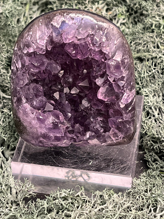 Achatisierte Amethyst Druse aus Uruguay (112g) - schöne dunkle Kristalle