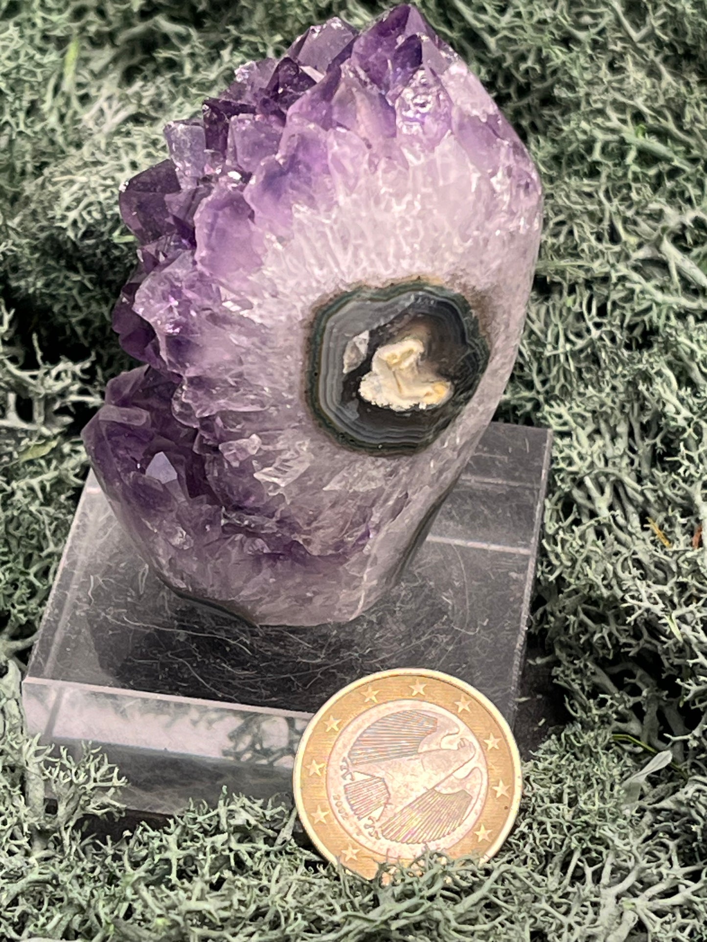 Achatisierte Amethyst Druse aus Uruguay (147g) - schöne dunkle Kristalle