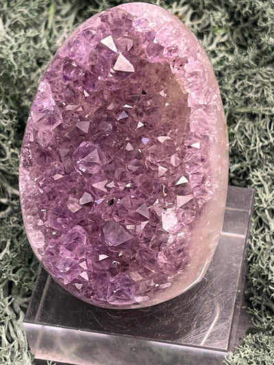 Achatisierte Amethyst Druse aus Uruguay (213g) - schöne hellviolette Kristalle - crystal paradise